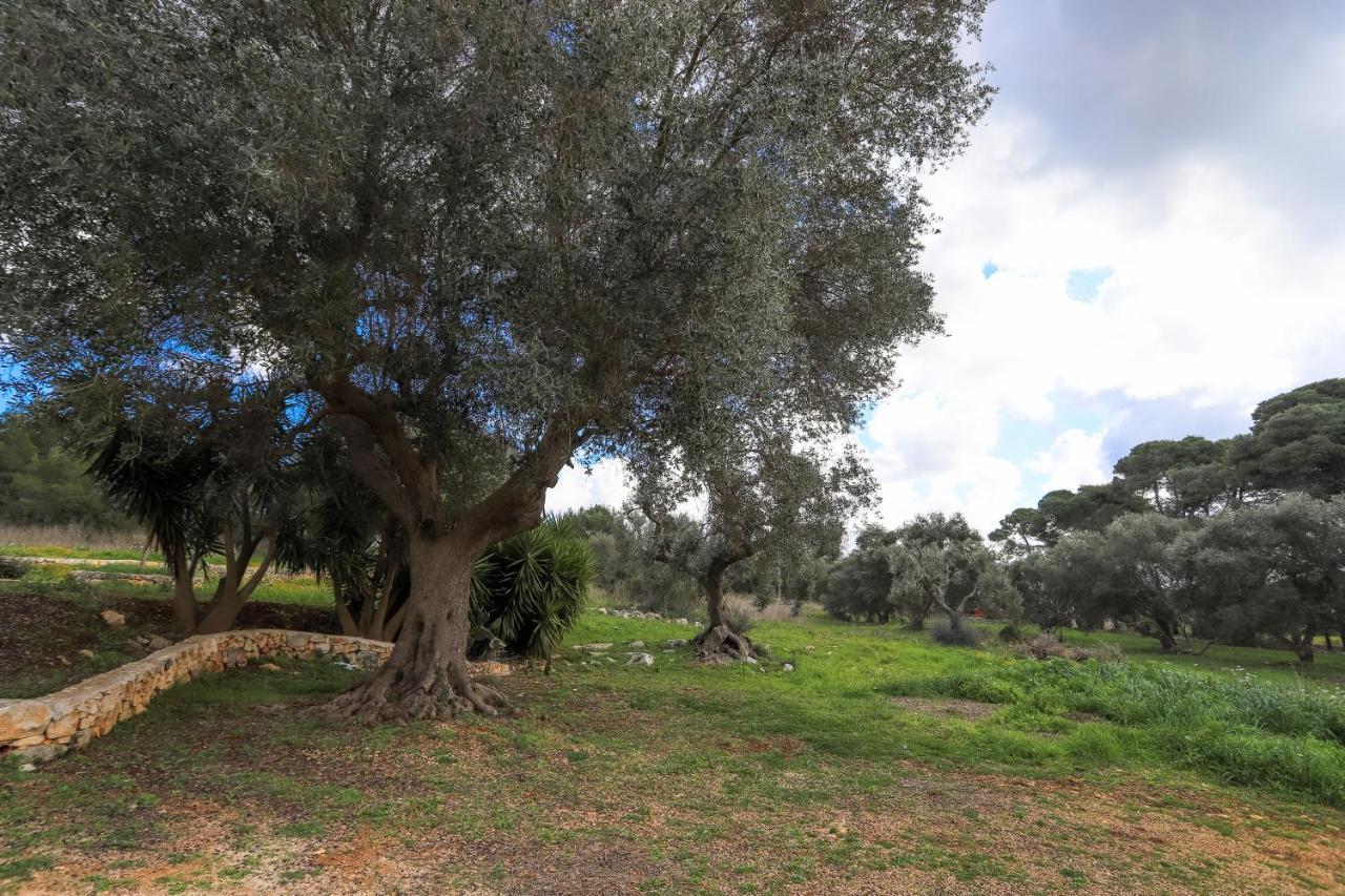 Casina Fumarola Guest House Ostuni Luaran gambar