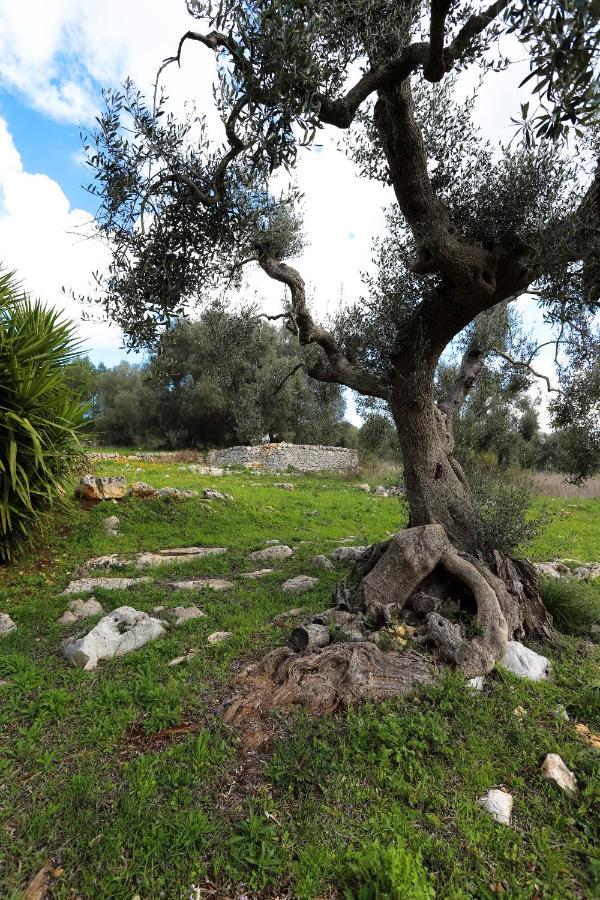 Casina Fumarola Guest House Ostuni Luaran gambar